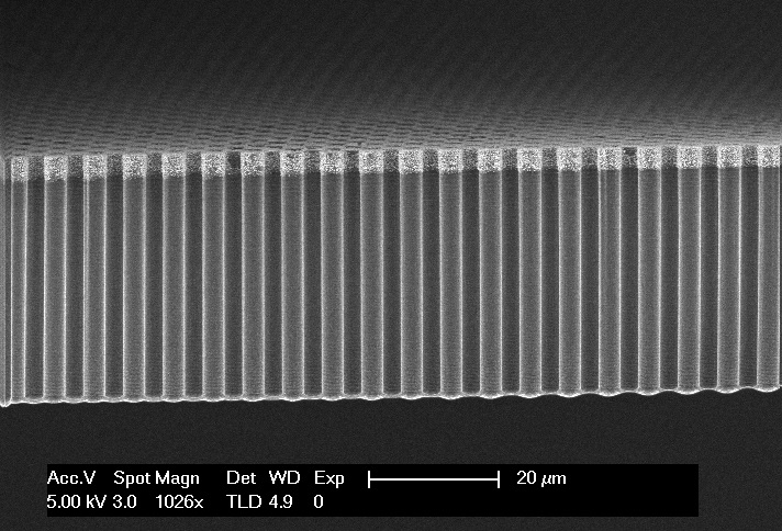 Microwires for solar fuel conversion