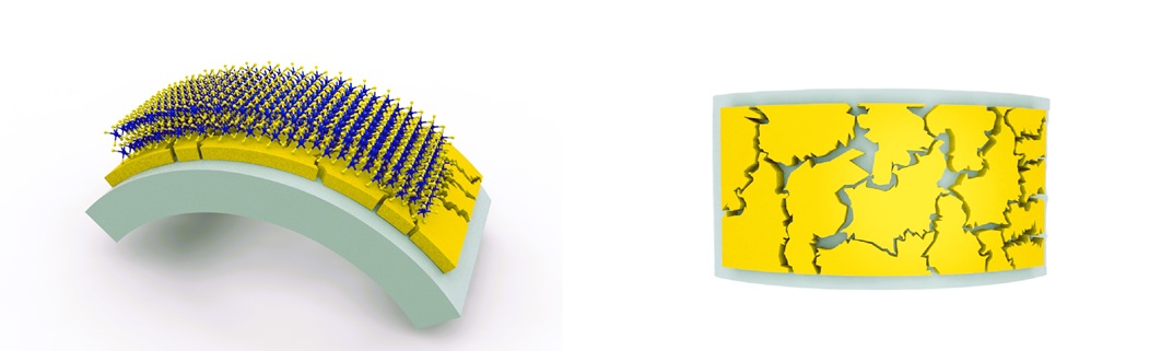 illustration of the ultrathin layer of WS₂ integrated with gold nanostructures on the flexible substrate, which enables ultra-strong coupling between WS₂ excitons and gold plasmons