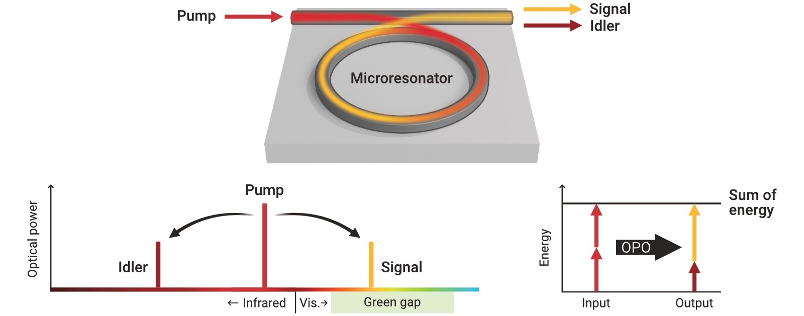 Infrared laser light, known as the pump, is beamed into a ring-shaped microresonator and converted through an optical parametric oscillation into two new wavelengths of light, known as the signal and the idler