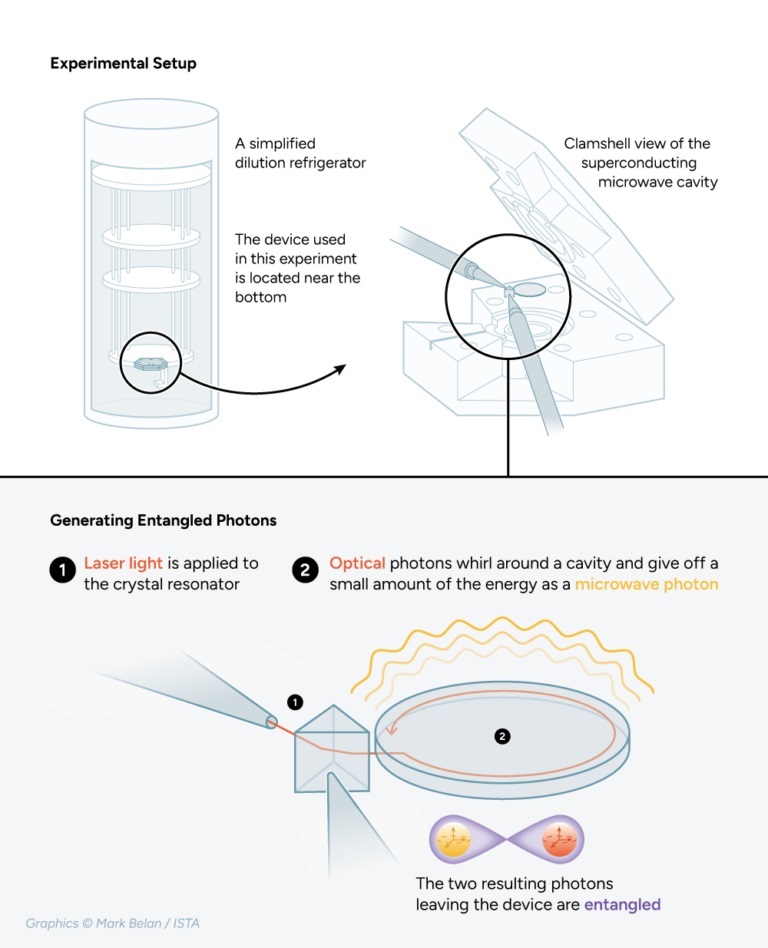 The experimental setup with the dilution refrigerator, the superconducting cavity, and the electro-optic crystal splitting and entangling the photons.