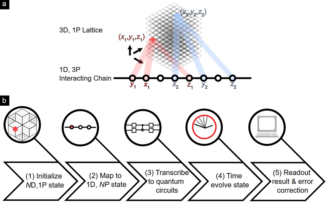 By compressing quantum information in a large three-dimensional single particle lattice system into a one-dimensional spin chain with three interacting particles, quantum materials can be accurately simulated on current-day quantum computers using a series of in-house developed techniques.