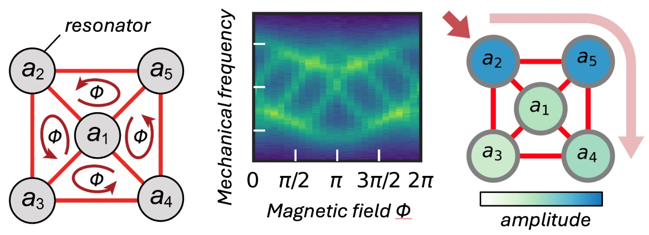 Left: light connects nanomechanical resonators into quantum Hall networks. Middle: a programmed effective magnetic field controls the mechanical frequencies of the network. Right: sound flow around the edge of the network in only one direction.