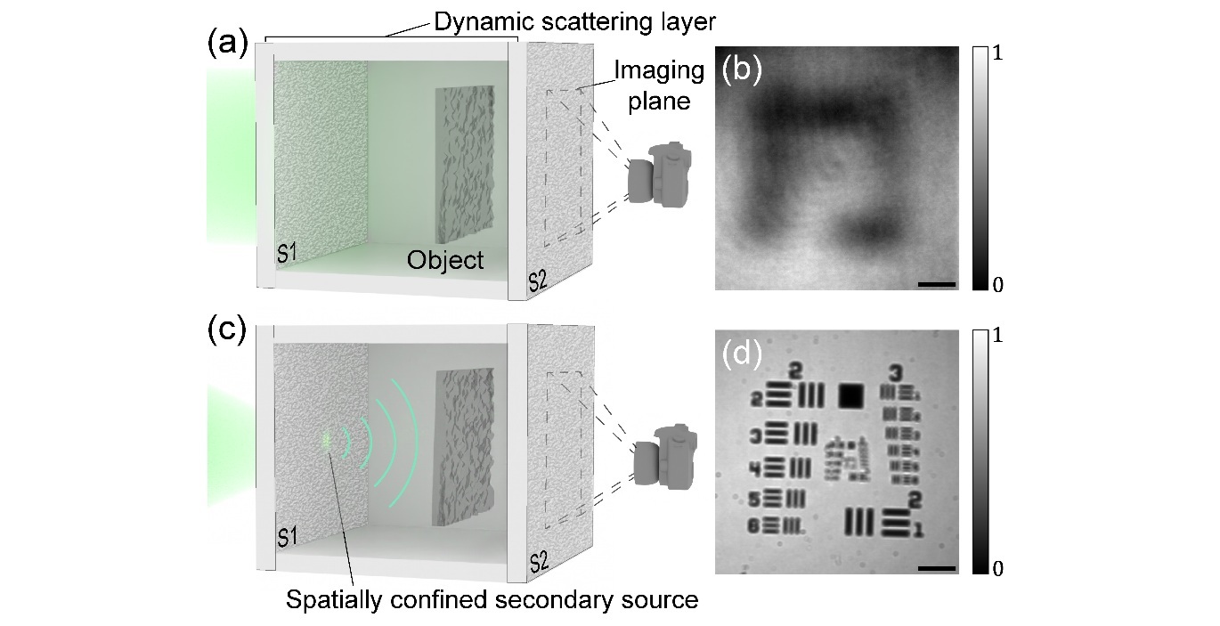 Comparison of measured intensity images through dynamic scattering layers under different illumination conditions