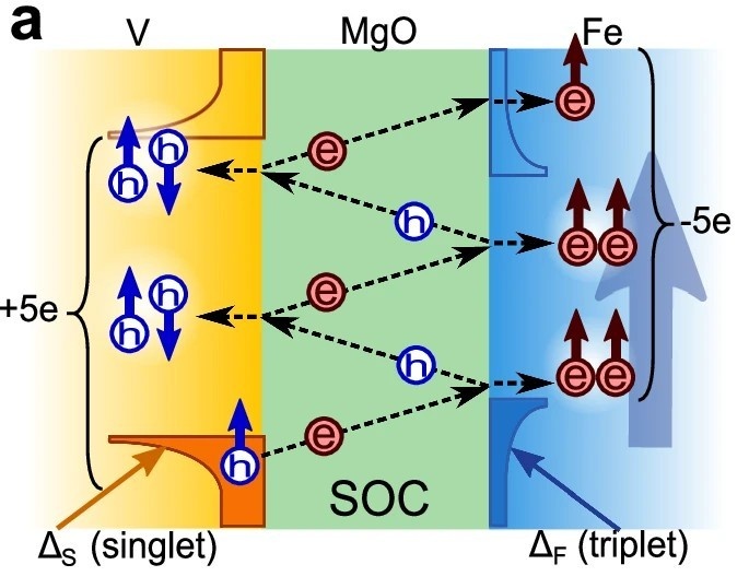 This illustration shows how superconductivity from vanadium is transformed at the magnesium oxide barrier, enabling iron to form same-spin electron pairs and participate in Josephson-junction-like behavior.