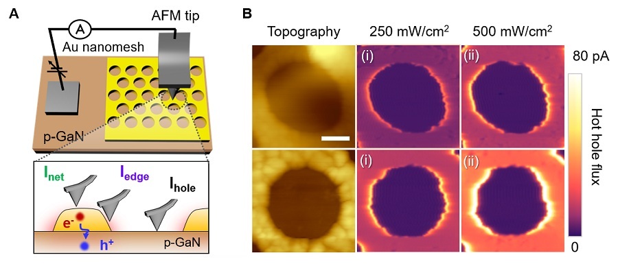 Schematic diagram of real-time hot-hole flux observation via atomic force microscopy.