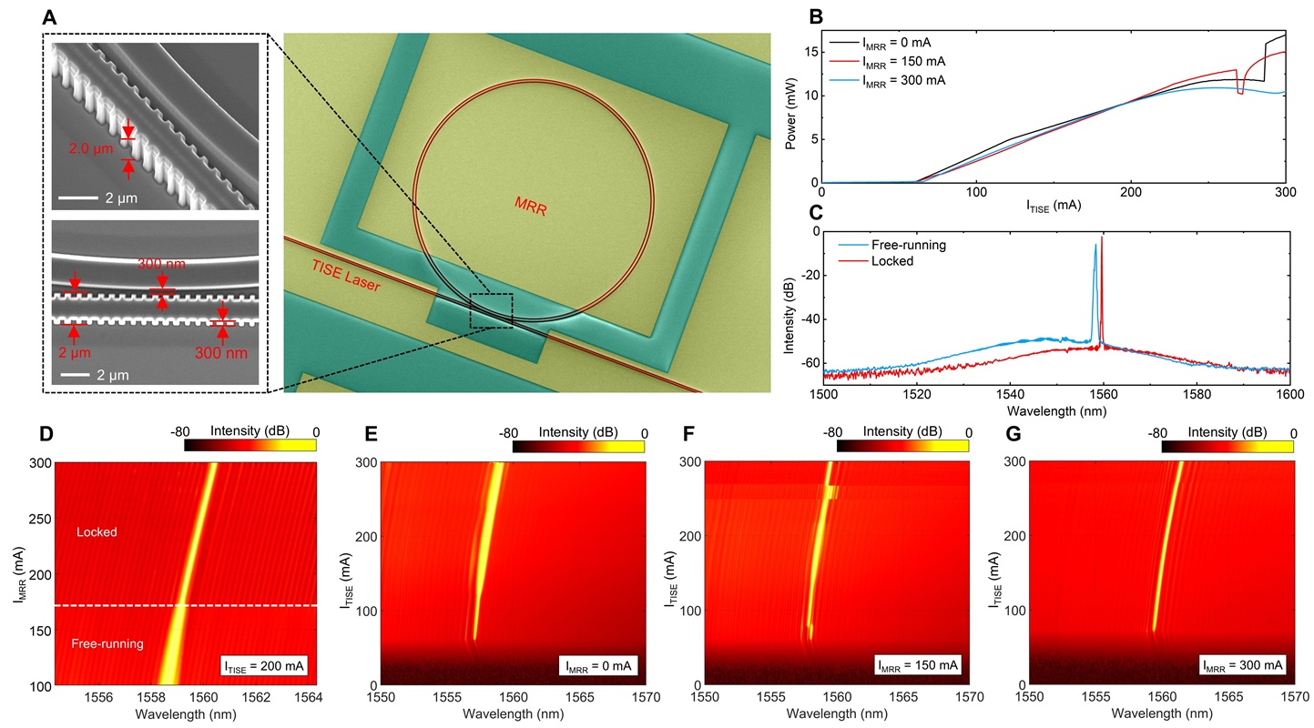 Photo credit: Science Advances. DOI: 10.1126/sciadv.ady8963