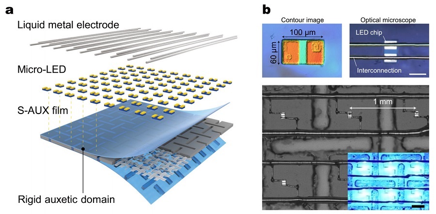 Structural configuration of the distortion-free display components on the S-AUX film and a contour image of a micro-LED chip transferred onto the S-AUX film