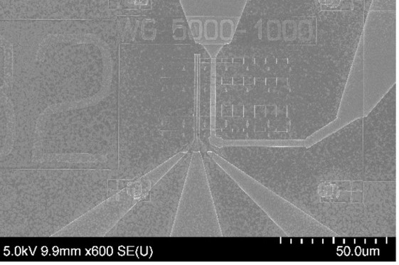 Scanning electron microscope image of the magnonic repeater, showing the input and pump antennas next to several narrow YIG waveguides.