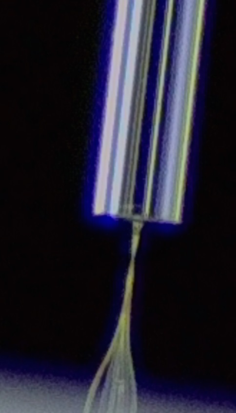 Image of optical fiber disposed directly above photonic lantern for efficiently coupling to the matched 6-mode fiber.