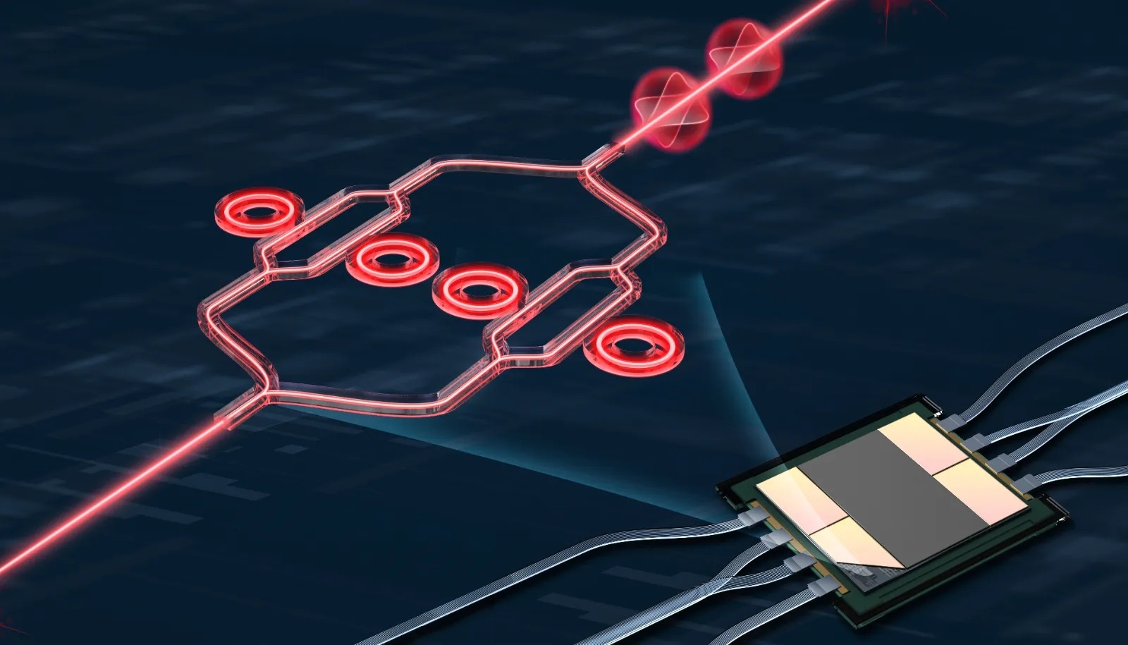 The chip, as thin as a strand of hair, uses two pairs of microring modulators to achieve unprecedented performance levels.