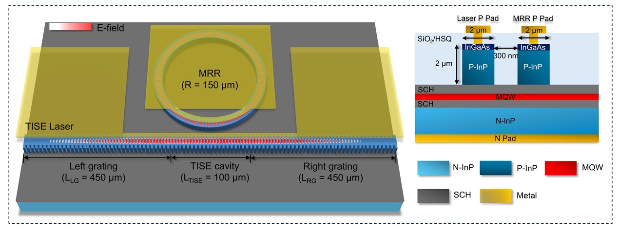 Photo credit: Science Advances. DOI: 10.1126/sciadv.ady8963