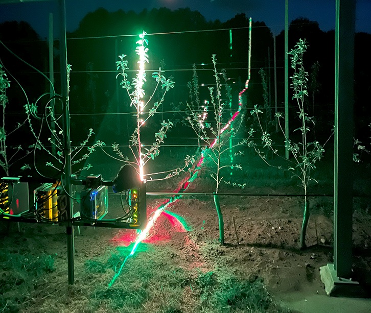 This scan of an apple tree shows how the laser line illuminates the edge of the forest in the background