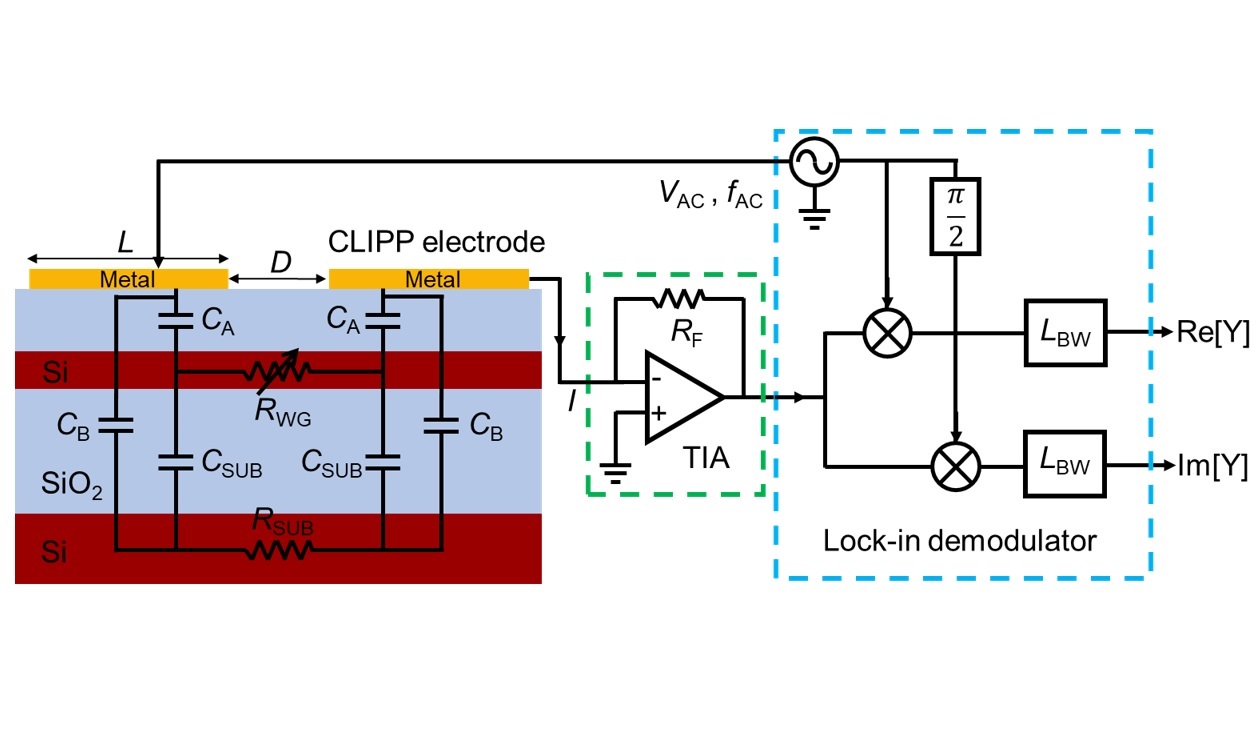 Longitudinal profile of the Si waveguide including the CLIPP equivalent electric model and the impedance read-out system, consisting of a low-noise TIA with feedback resistance RF and a lock-in demodulator with bandwidth LBW