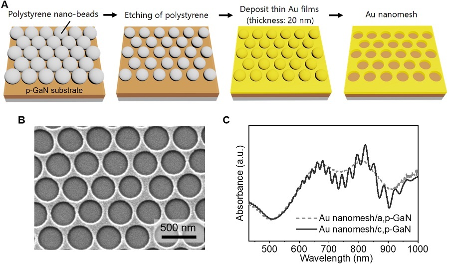 Fabrication process of Au nanomesh. Microscopic image of Au nanomesh. Optical absorption spectrum of Au nanomesh-p-type GaN substrate.