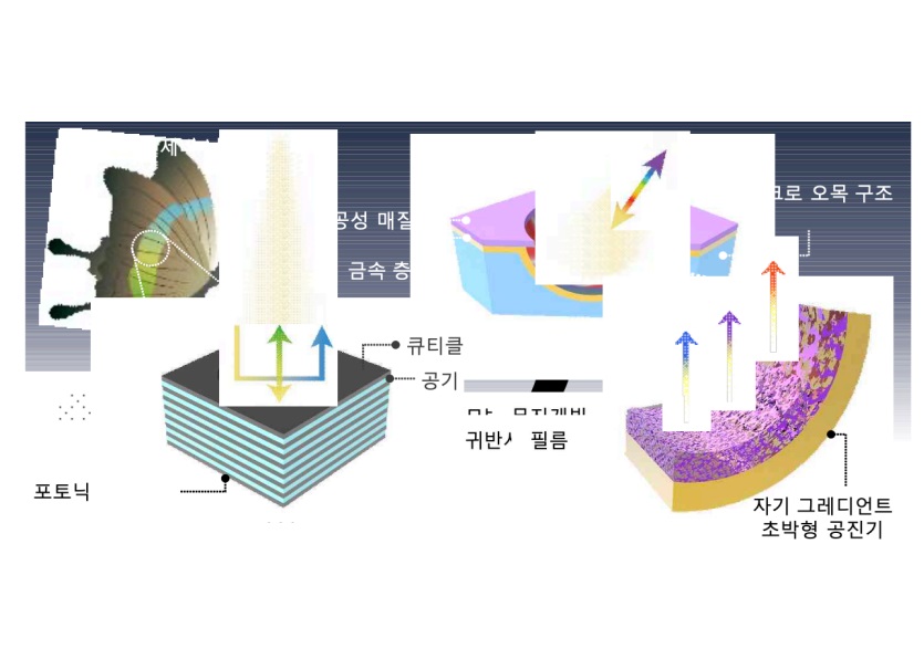 Structural characteristics of the biomimetic retroreflective platform developed by the research team.