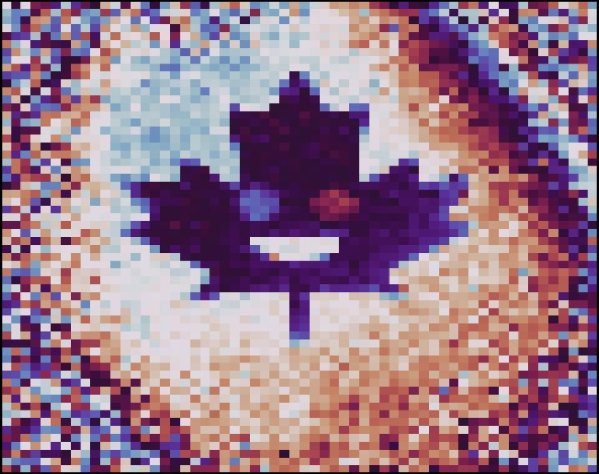 A digital hologram of a single photon carrying a maple leaf phase pattern.