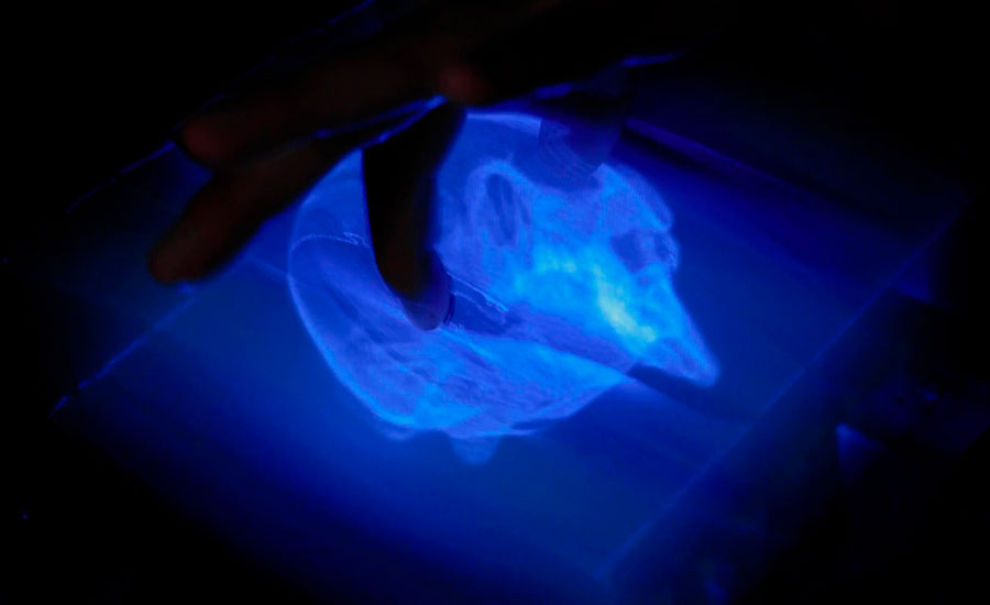 A person holding a 3D skull between their index finger and thumb to rotate it in a precise way.