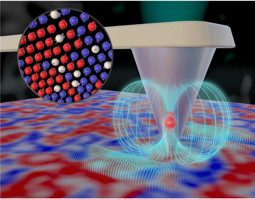A single-spin qubit probes nanoscale spin fluctuations to reveal magnetic interactions in quantum materials