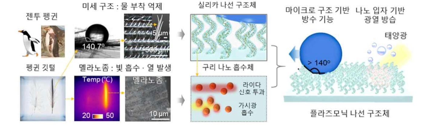 Plasmonic spiral structure mimicking the function of penguin feathers.